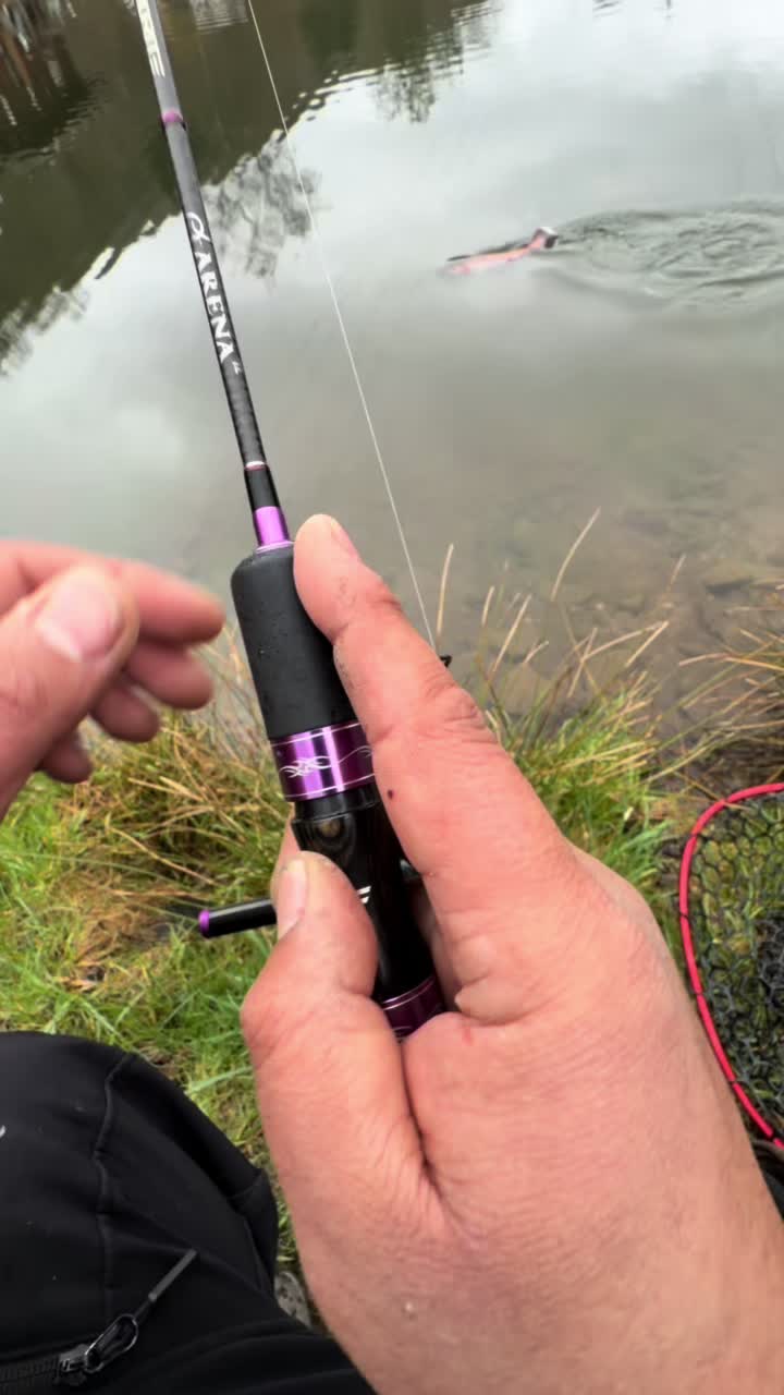 @Fishing_DP