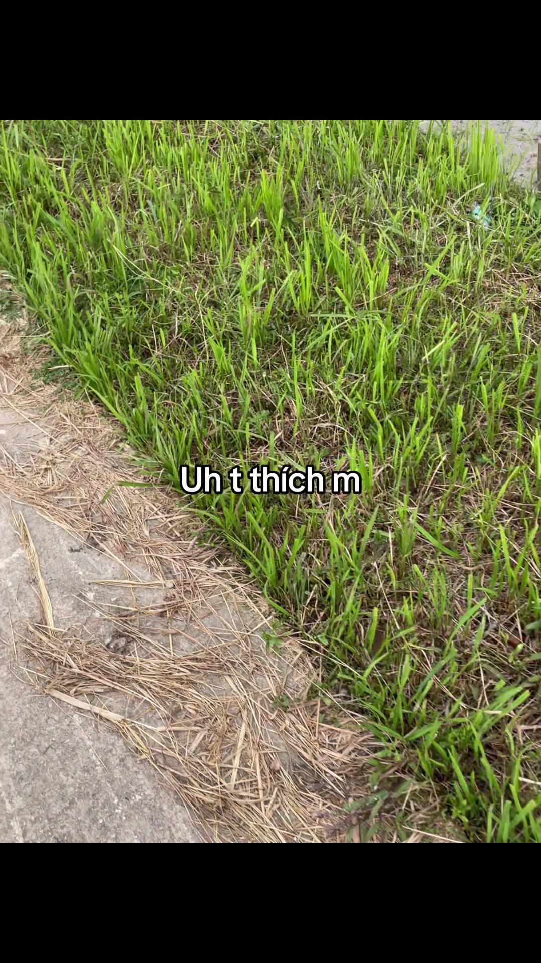 @tuannkhonggsuyy