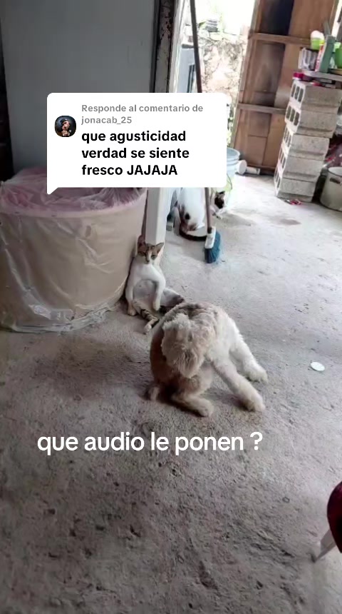 @ediro