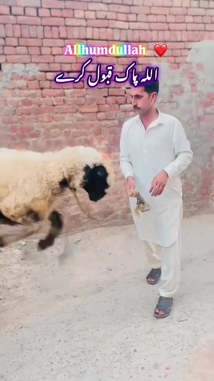 @رانا حرمین 🇧🇭