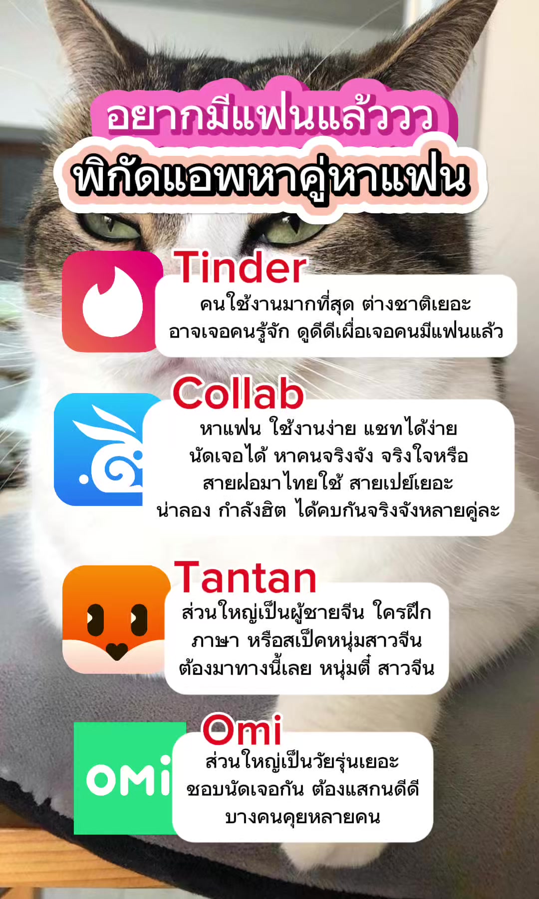 @Collab คนเหงา