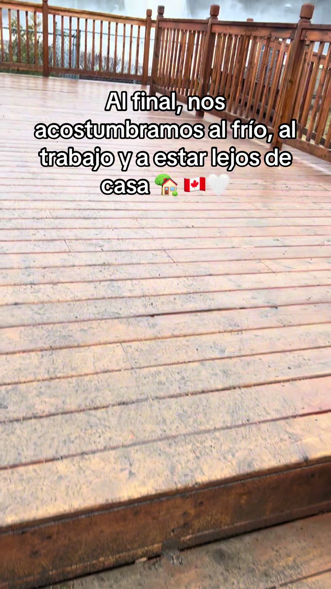 @Bea 💗🇨🇦