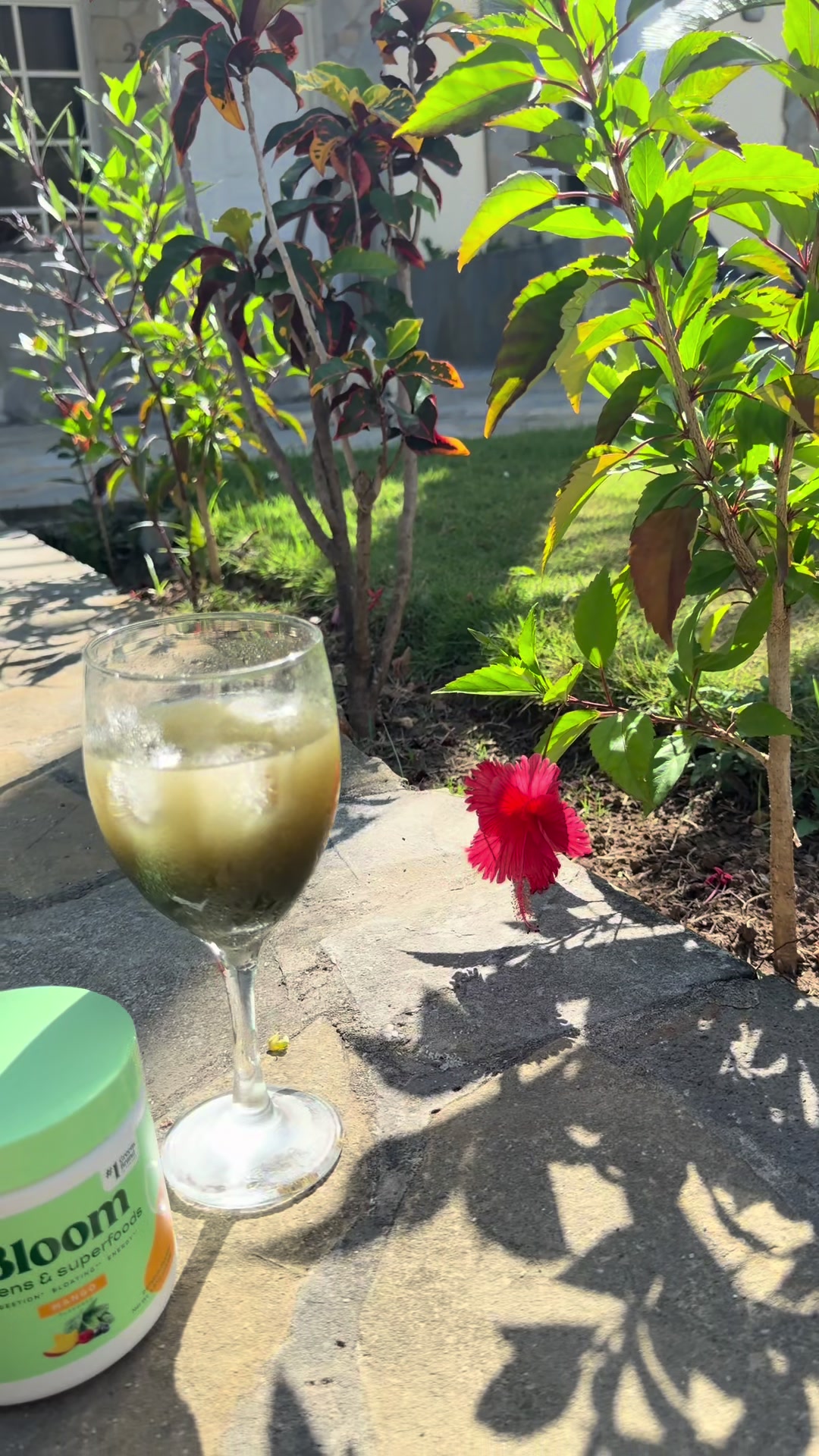 @shethrivesguide