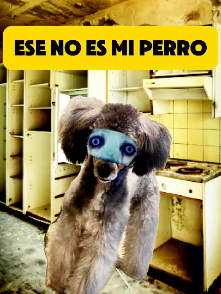 @Ay nanita!