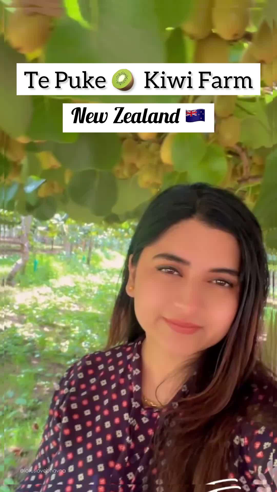 @lotuslovebhavna