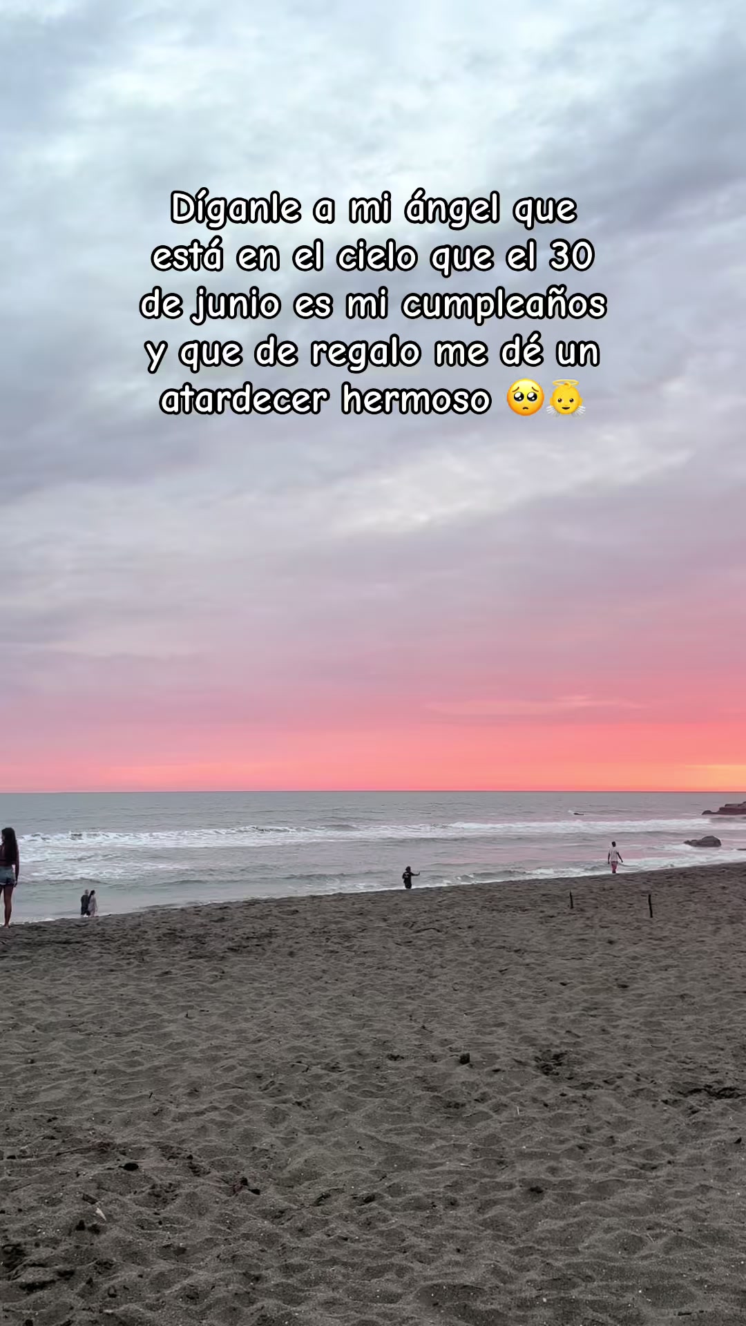 @Sarita Reyes