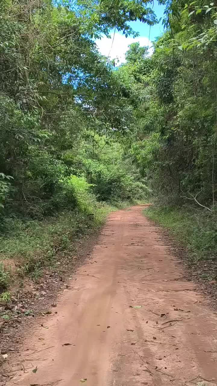 @Koki-Cr