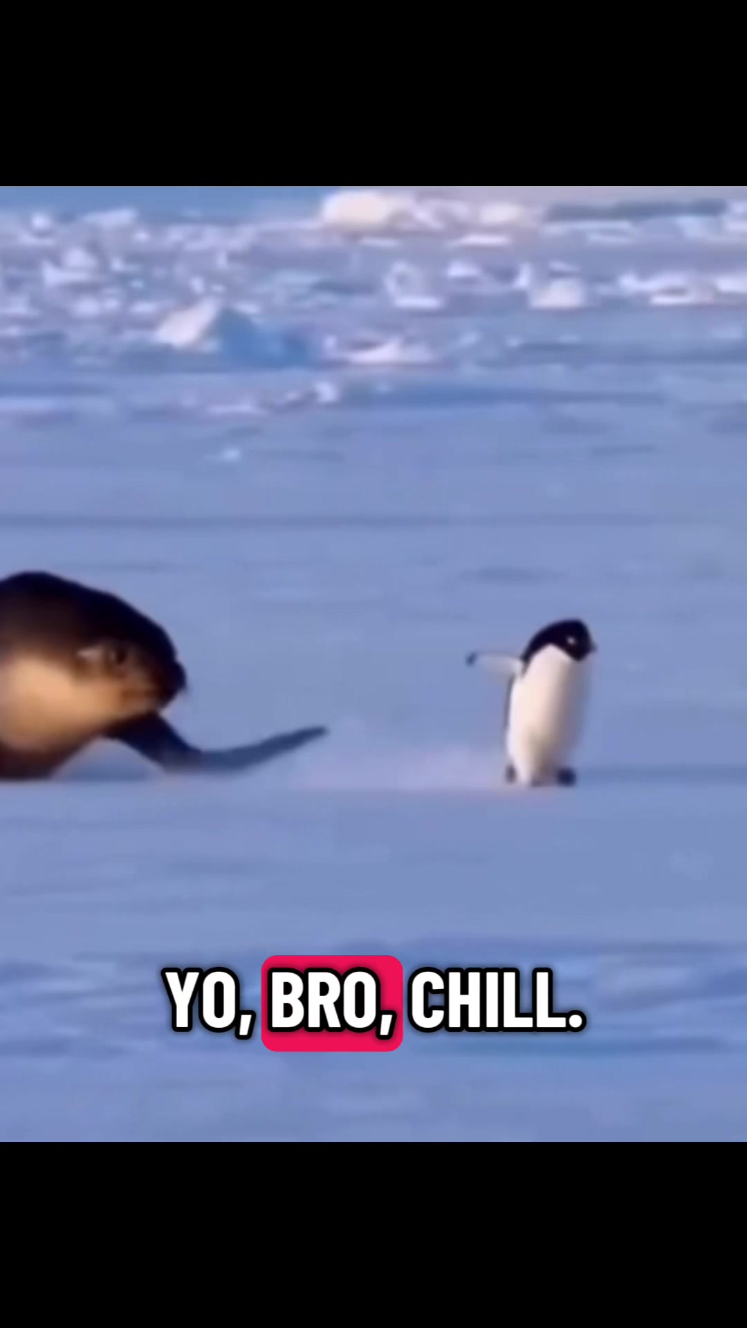 @Droop314