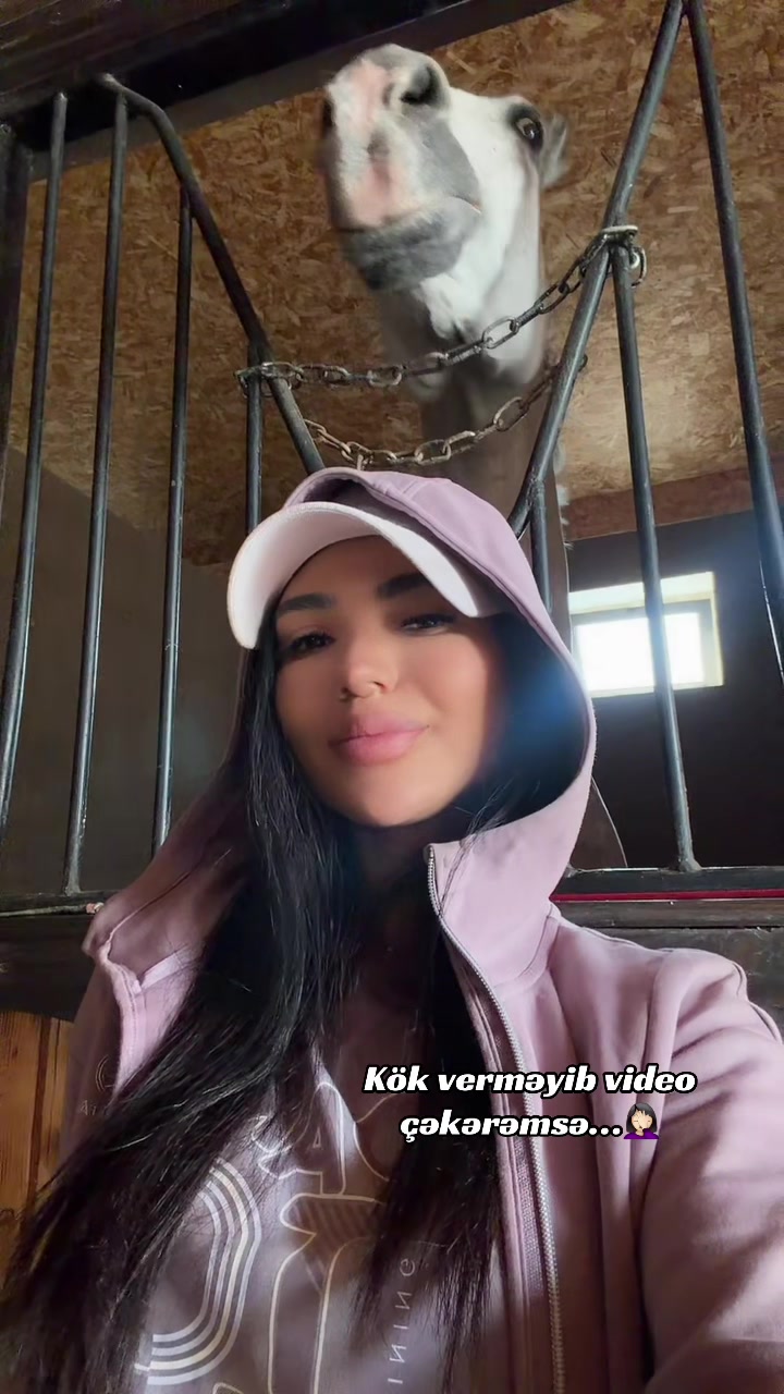 @Peri Karimi