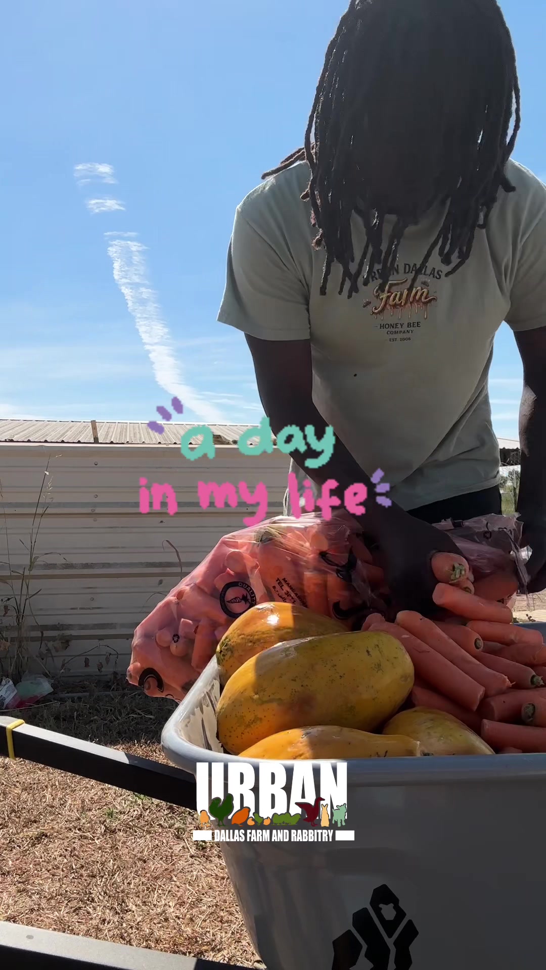 @Urban Dallas Farm