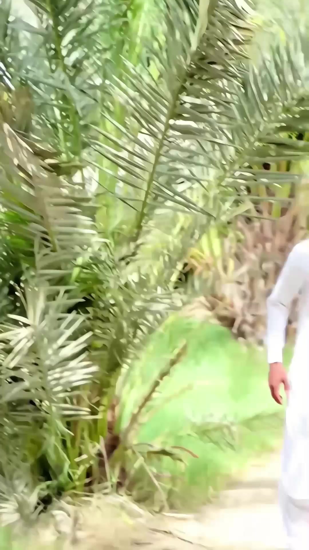 @M A̶し&Iuml; ✅