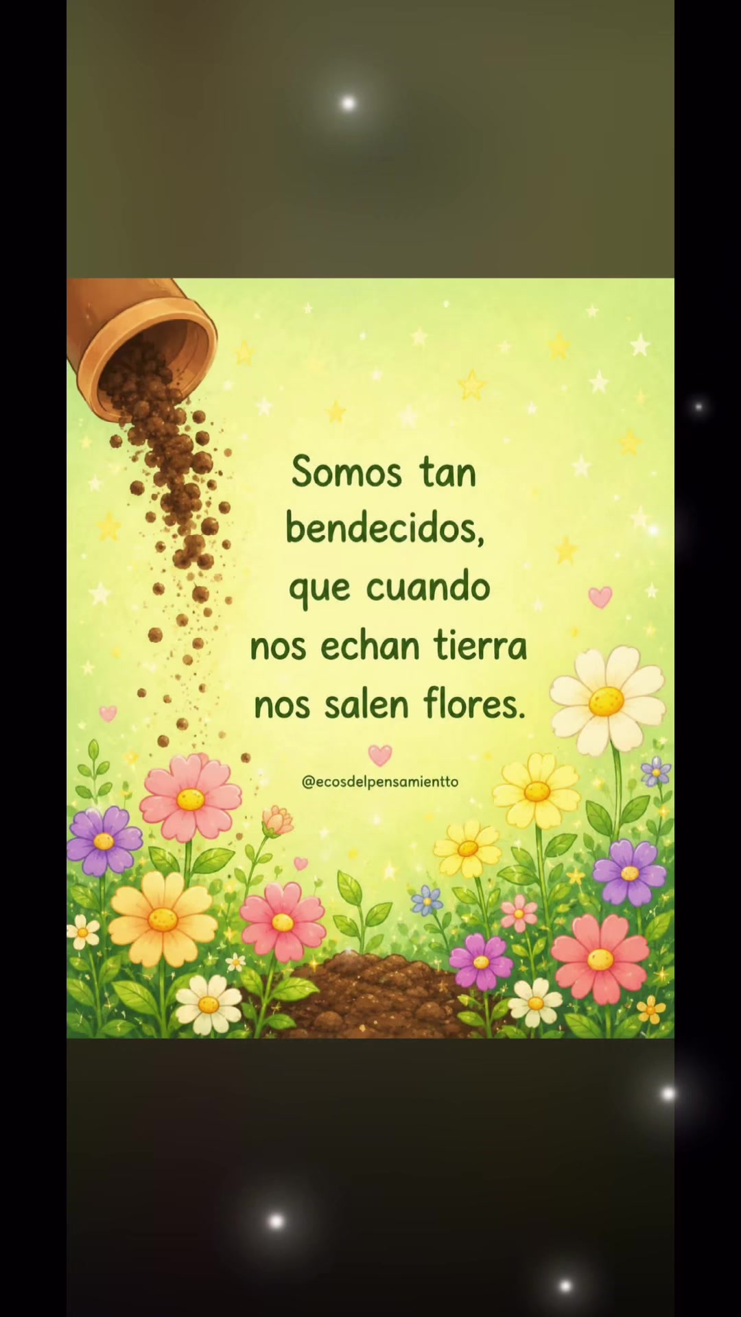 @Elenita