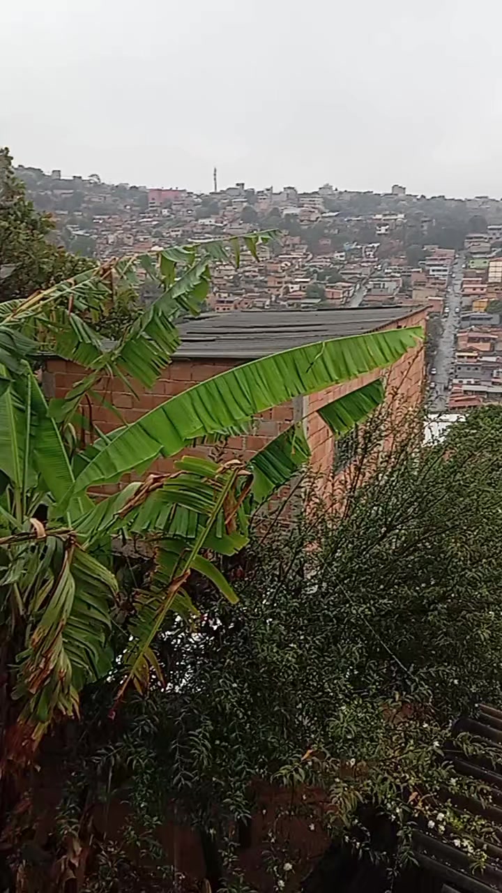 @Aparecida Batista