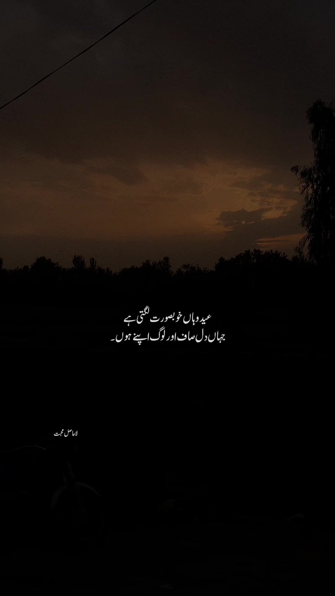 @لا حاصل محبت💔