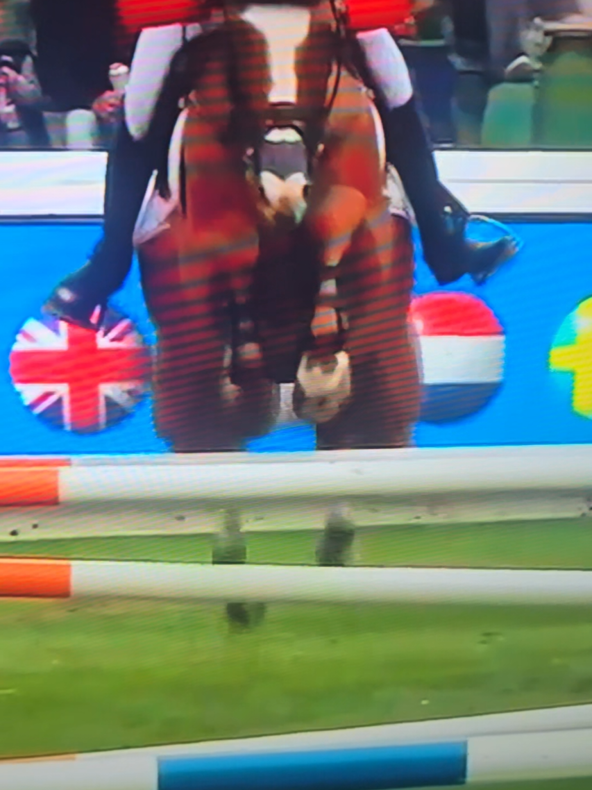 @DressageHub