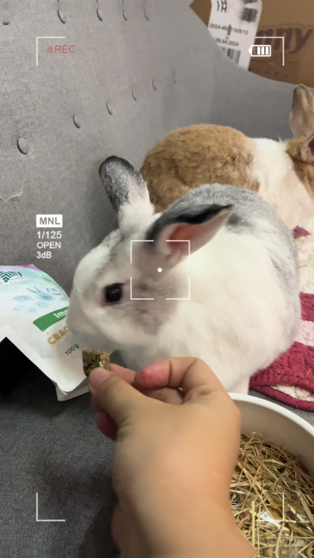 @Pet for Life