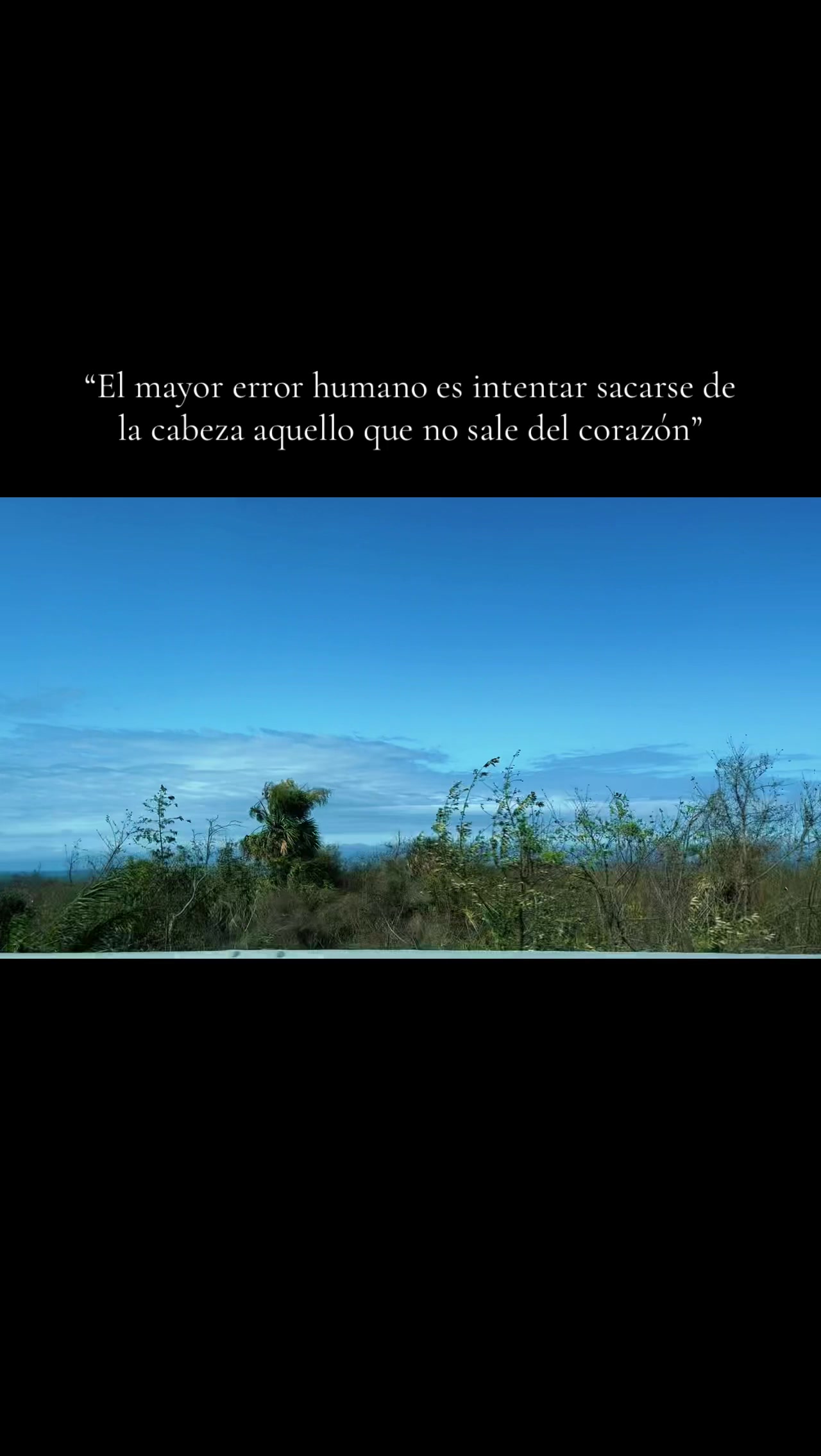 @𝒮𝑒𝓃𝑒𝓉𝒽