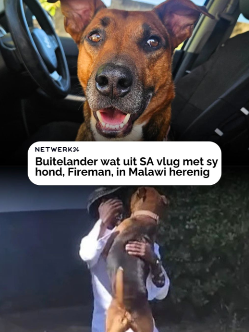 @Netwerk24
