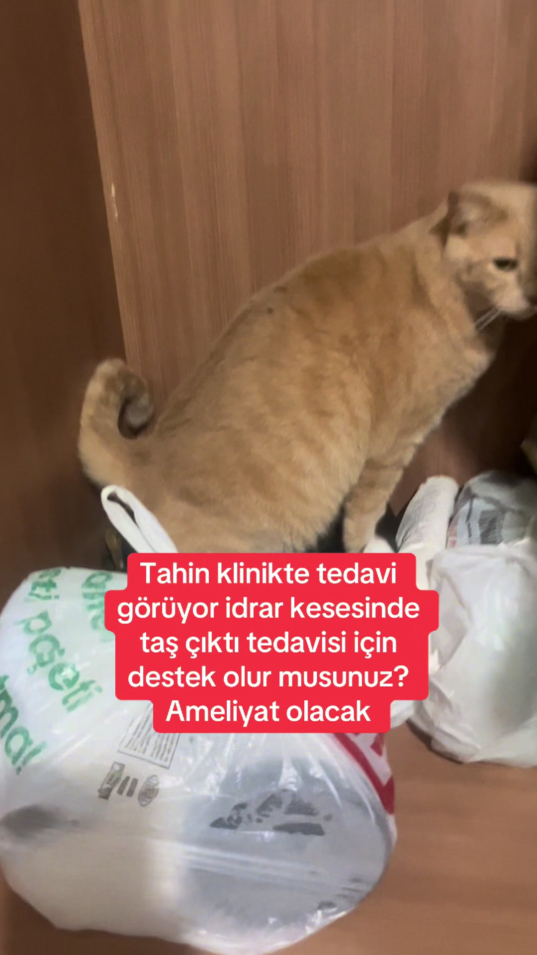 @Yesiminpatileri61