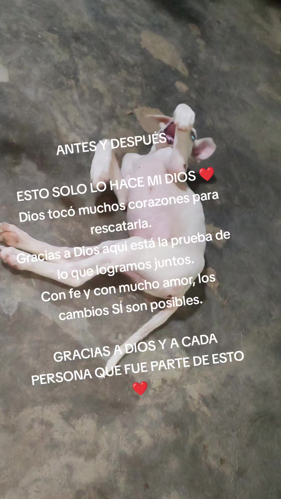 @casa hogar milagros 505 🇳🇮