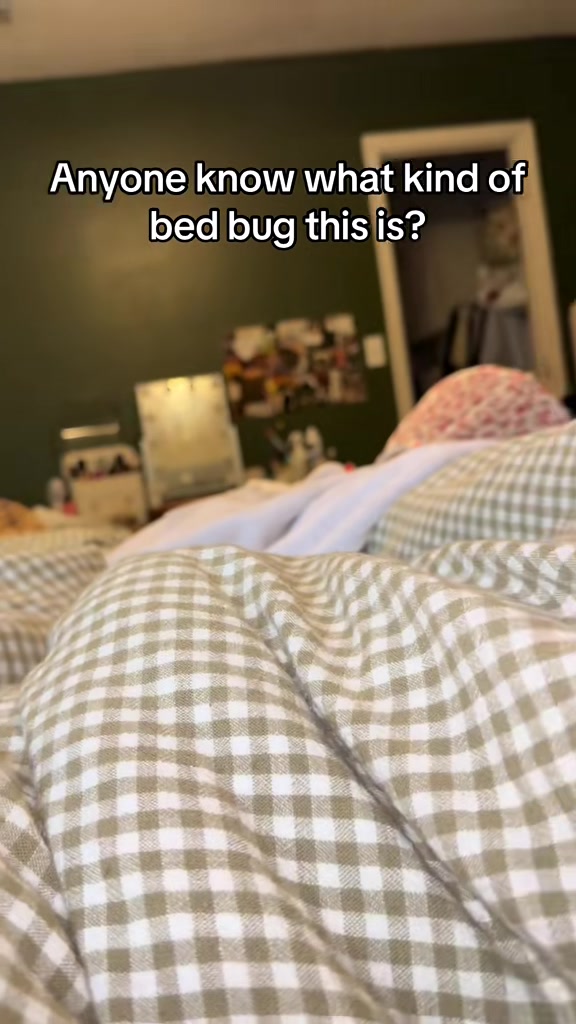 @annie 🧸🤎🕯️🍂