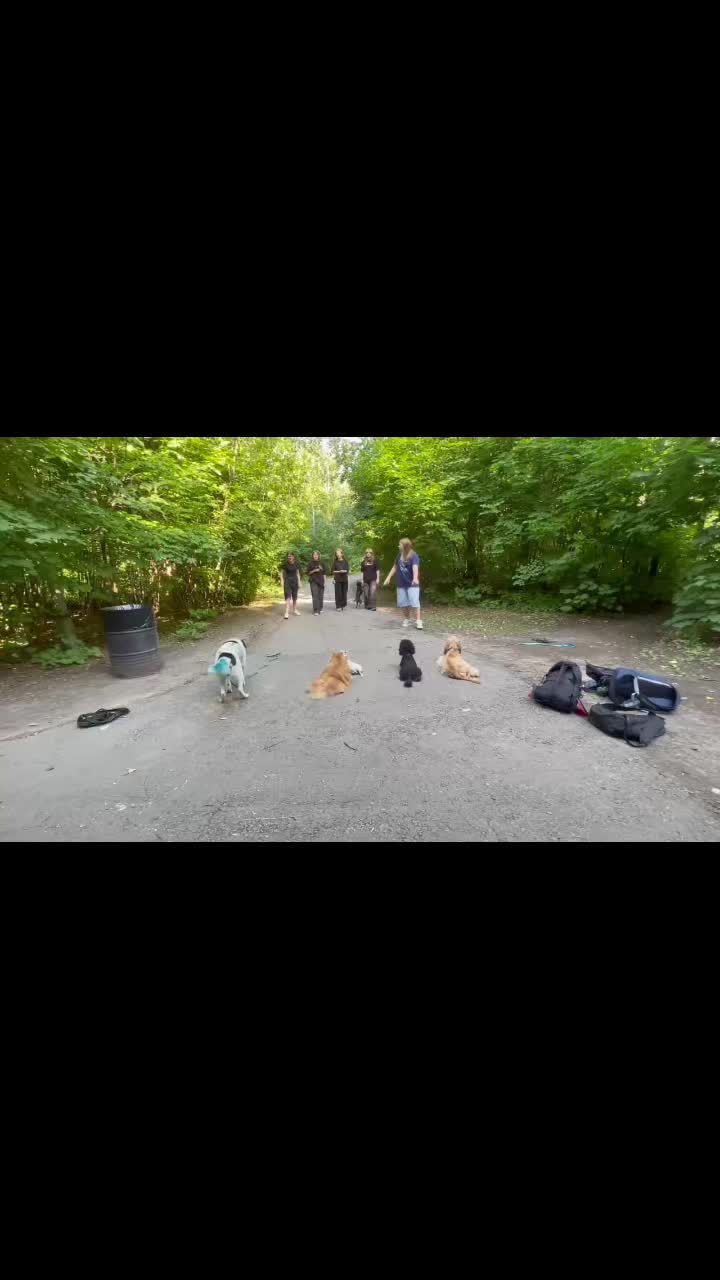 @Калыван