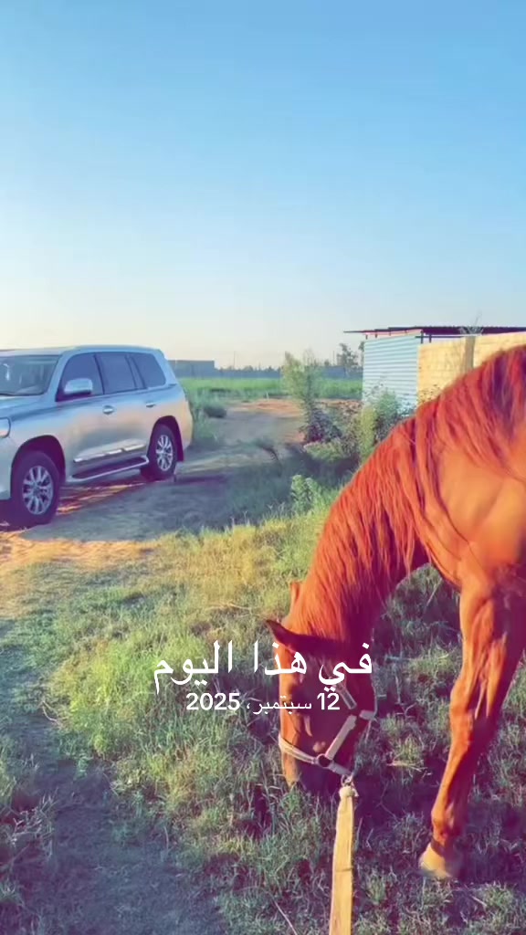 @مـراد عيسى