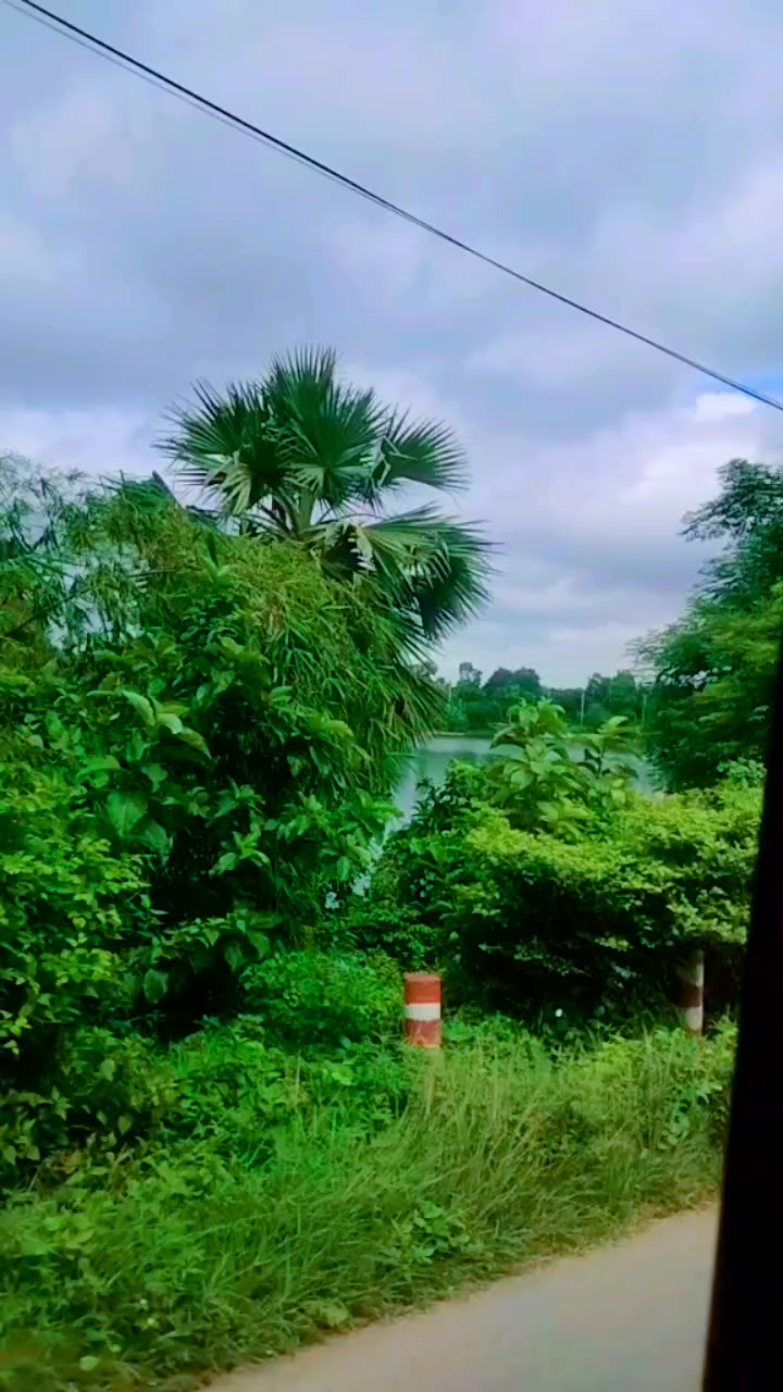 @😏😏আনস্মার্ট ক্ষাত🫣🫣