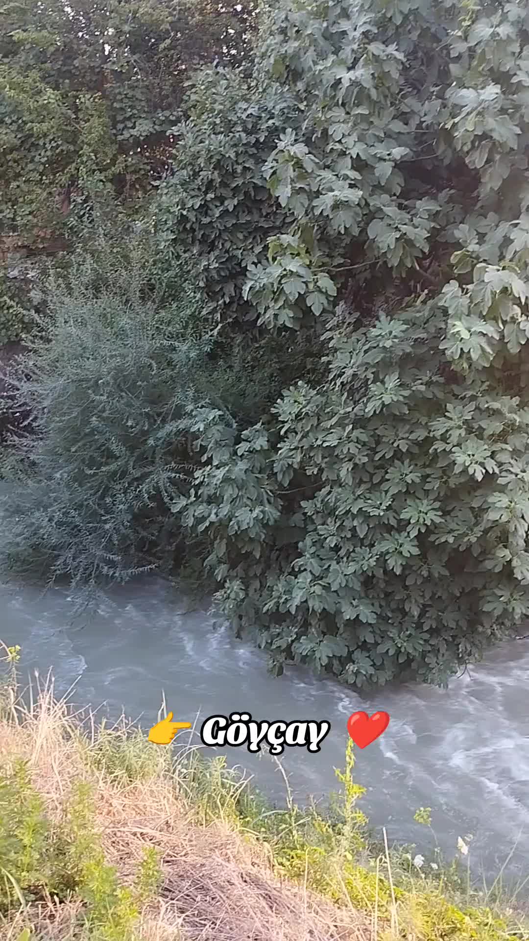 @😔꧁☞︎︎︎ YaLnız CənaB ☜︎︎︎꧂😔