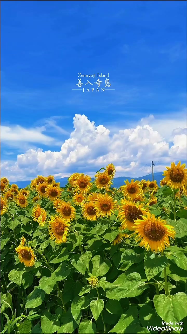 @カズ