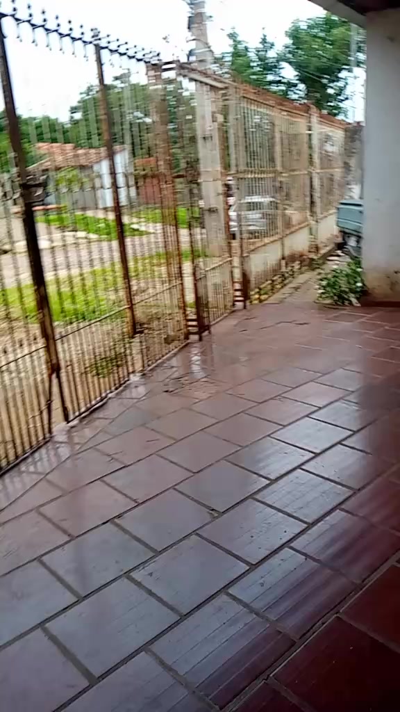 @flogao_san_lorenzo