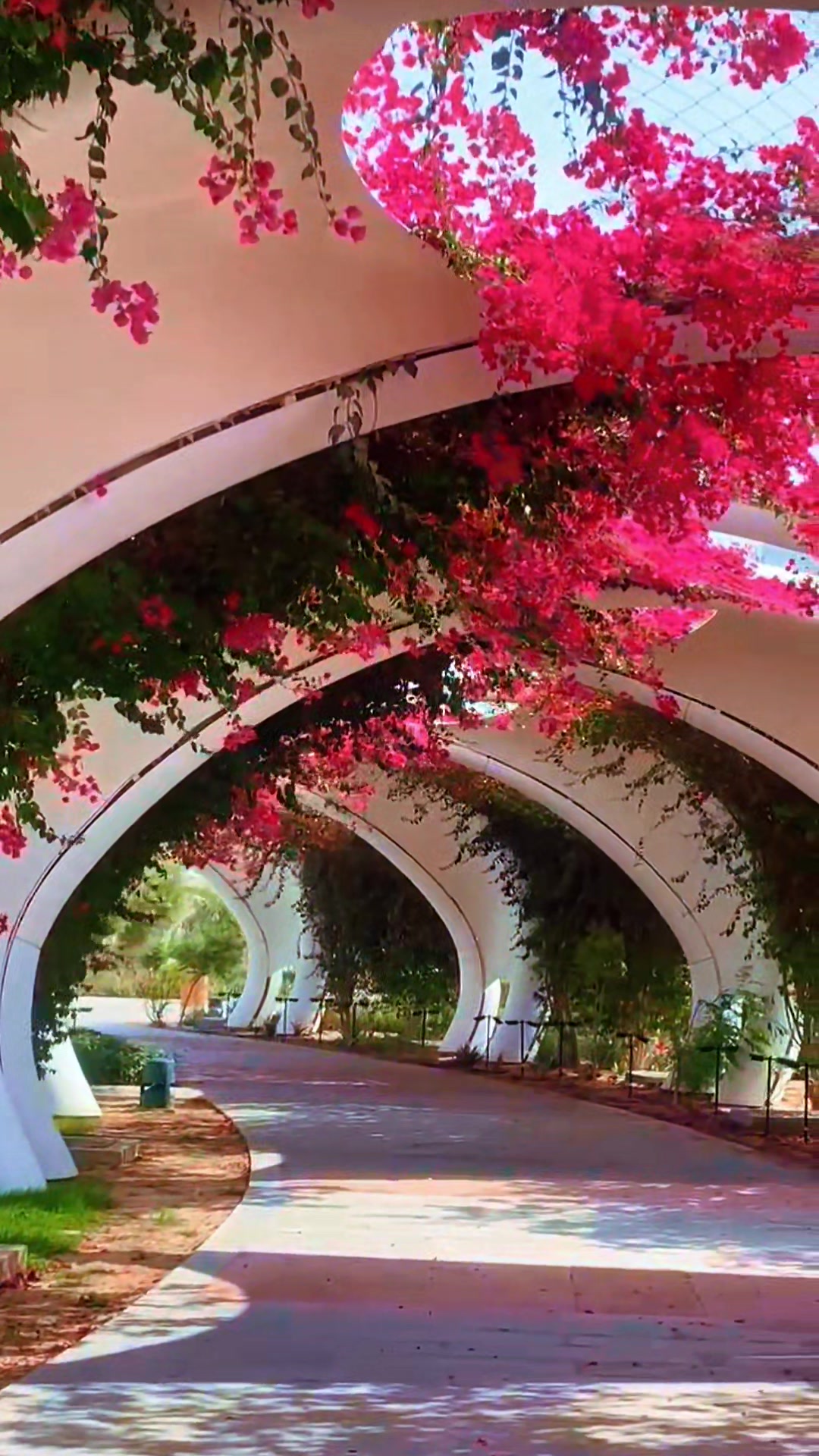 @Shijin_Das_Thakidiyi