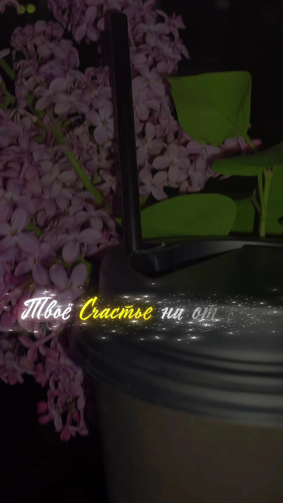 @🌸АнютаЯ🌸