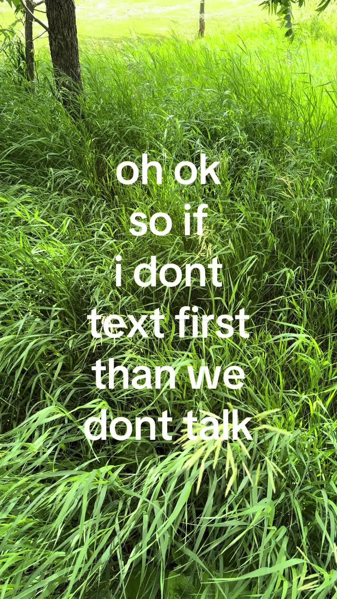 @gavin