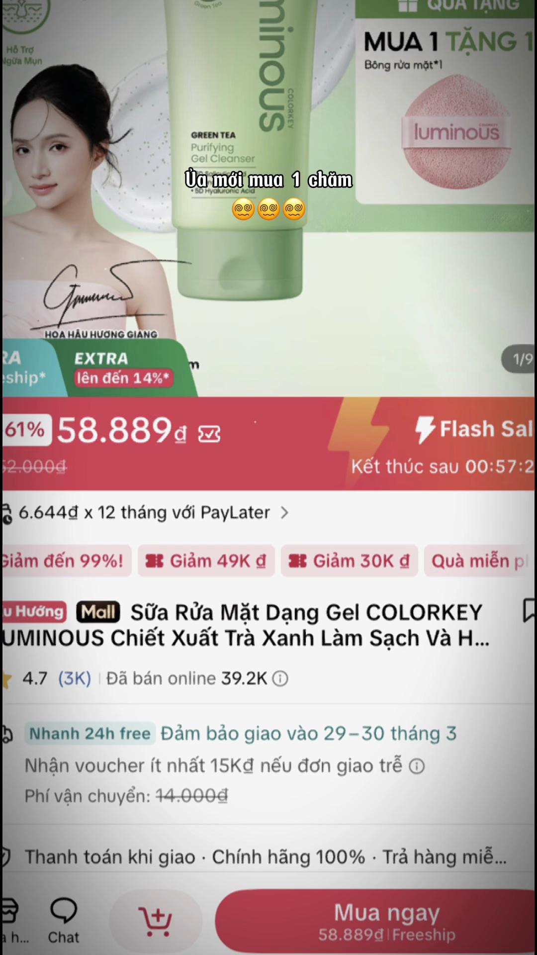 @Nhà hoa mai