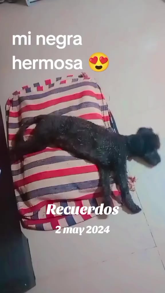 @Vanesa Ascua