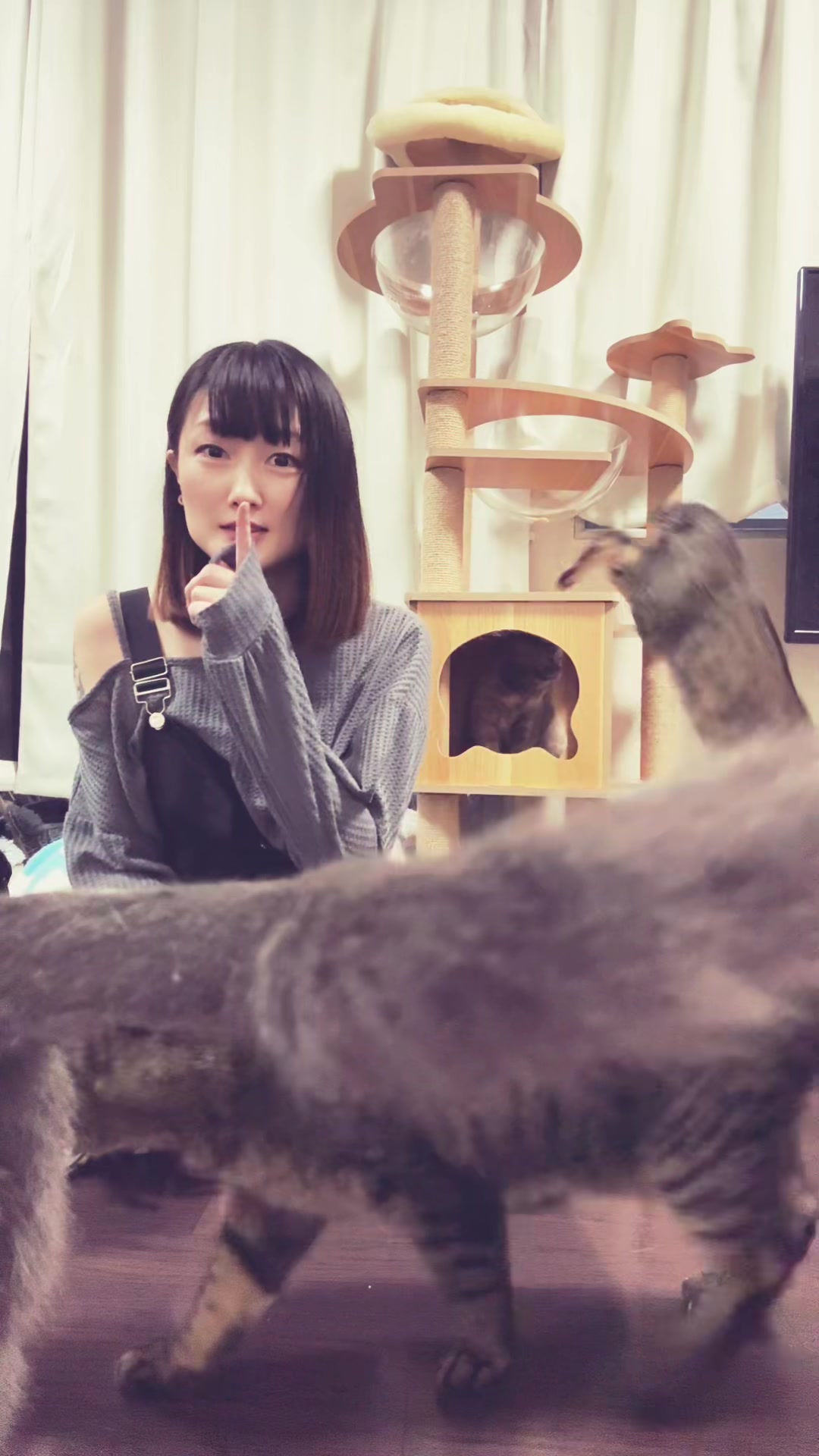 @ひかるマミー🎀山田さんちは猫まみれ