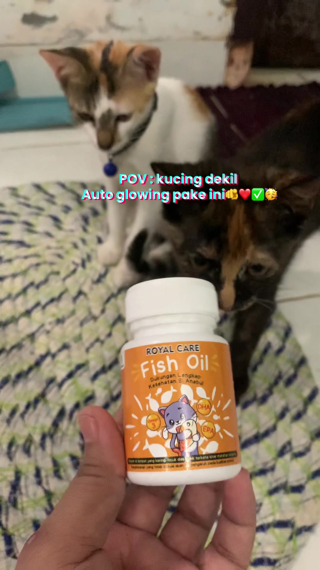 @bejaminsorui
