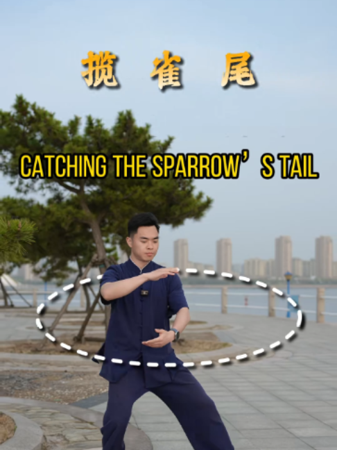 @taichituan
