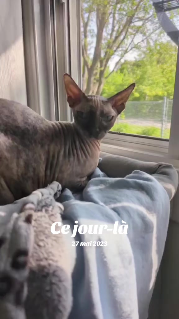 @Amy_dusoleildanstajournee