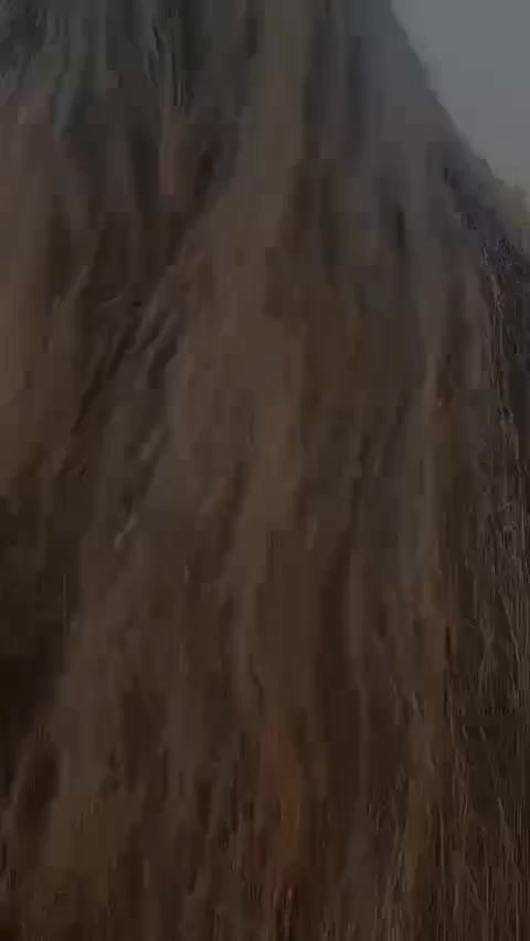 @janu ❤️❤️