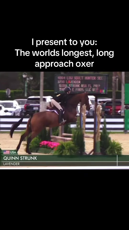 @Quinn Strunk