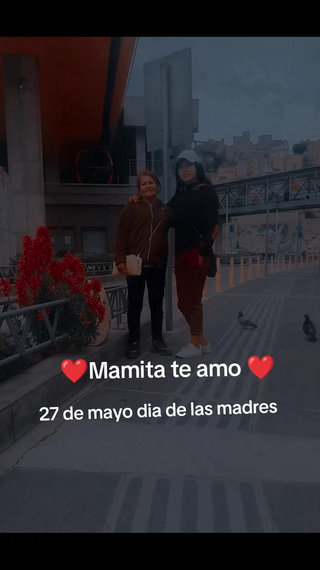 @🌸💕✭sʜᴜ✭💕🌸