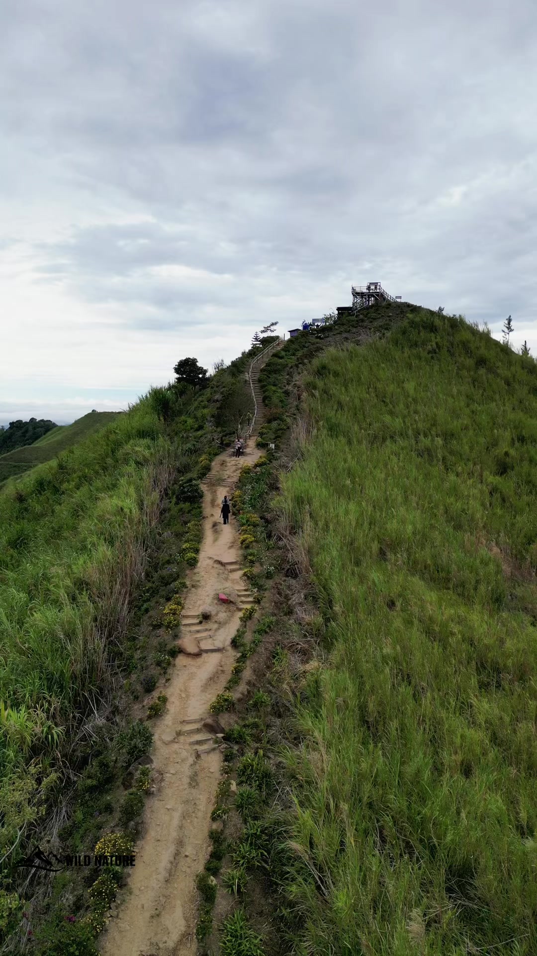 @Wild Nature Trans