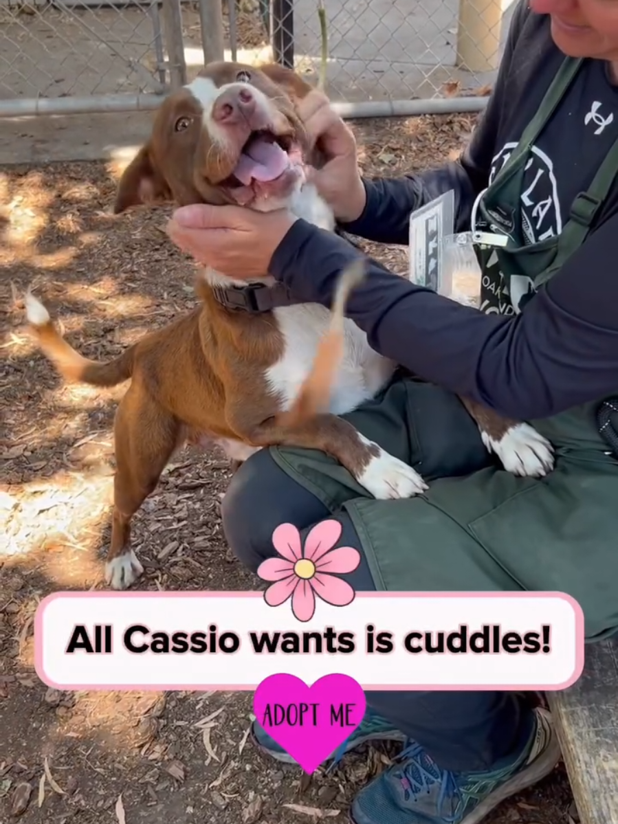 @Oakland Animal Services