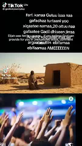 @Arsaa Dhugumaa