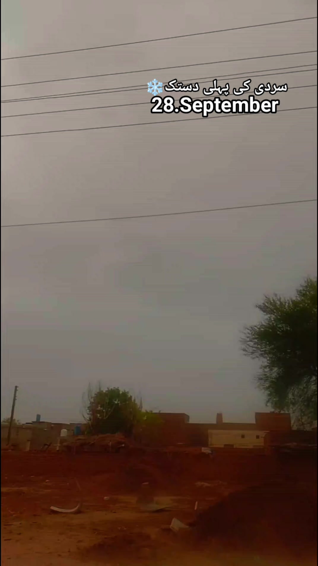 @inzamam jani