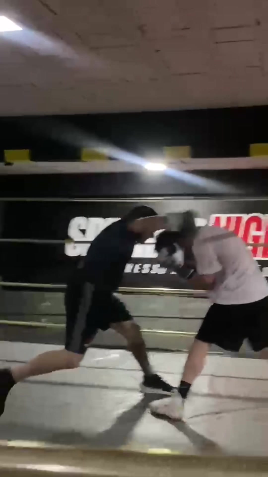 @Ariel🥊
