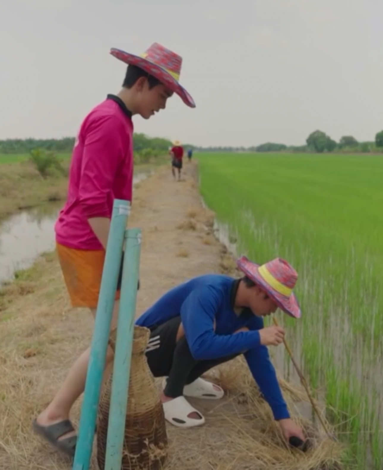 @ได้ดูตั๋วแล้วโว้ย