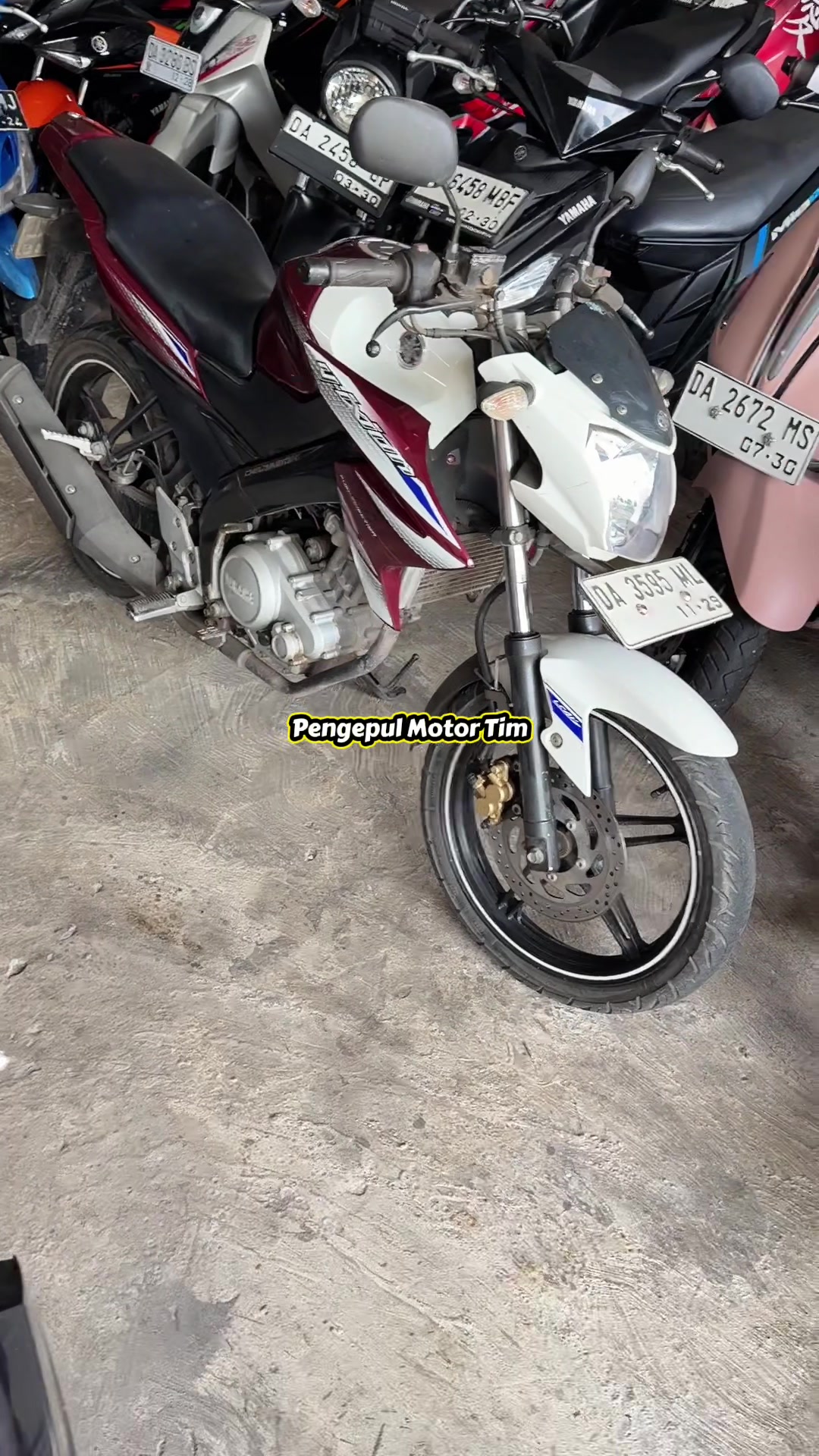 @pengepulmotortim